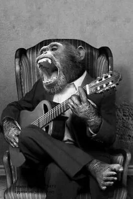 Vintage Funny Monkey Playing Guitar PHOTO Circus Chimpanzee Freak Strange • $4.88