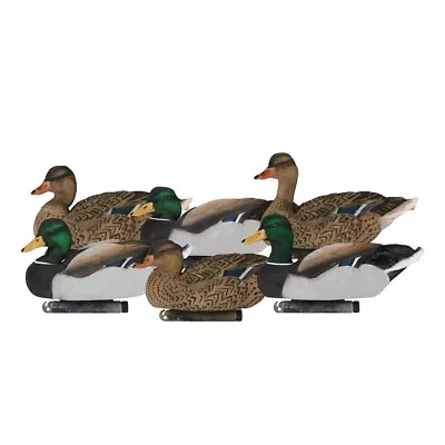 Dakota Decoys X-Treme Fully Flocked Mallard Duck Decoys 6 Pk • $159.99