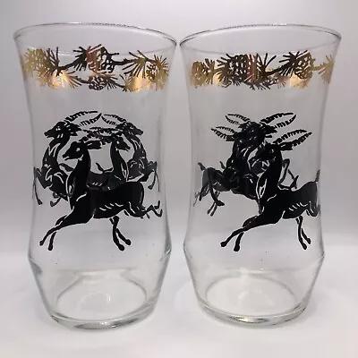 Vintage Black Gold Gazelle Drinking Highball Glasses Tumblers Set Of 2 • $24