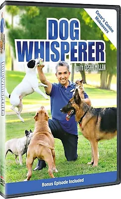 Dog Whisperer With Cesar Millan . Canine Makeovers . Der Hundeflüsterer DVD NEU • £20.67