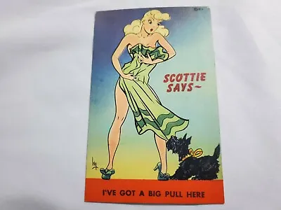 Vtg. Comic Linen Postcard Scottie Says Sexy Lady Dog Unused Color Litho D-046 • $5