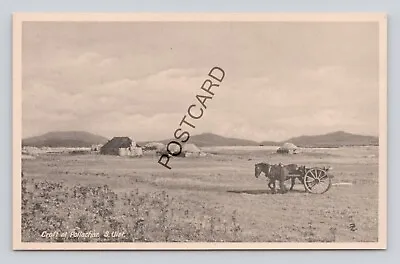 Postcard (M2) Scotland South Uist Croft At Pollachar • £44.99