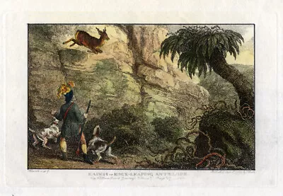 £83.40 • Buy Antique Print-VAILLANT-ANTELOPE-HUNTING-Howitt-1799