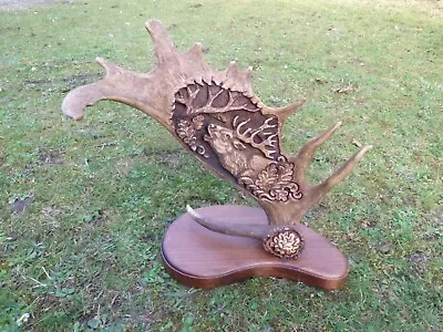 Stunning Real Fallow Deer Antler Carving - Dama Dama - Taxidermy - Hand Made • £159