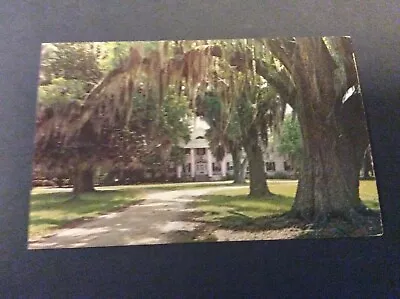 Boone Hall Plantation Mount Pleasant South Carolina  1960's Vintage Postcard  • $4.99