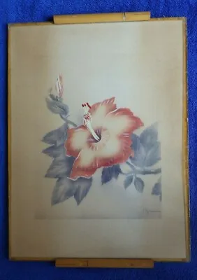 Vintage Original Tip Freeman Airbrush Hawaiian Hibiscus Flower Painting Hawaii • $279