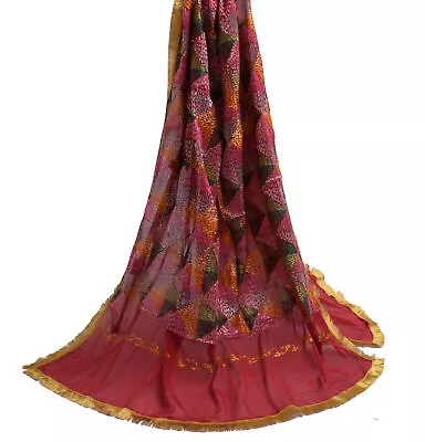 Sushila Vintage Maroon Dupatta Blend Chiffon Phulkari Embroidered Long Stole • $27.99