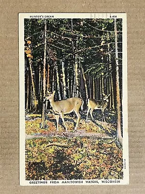 Postcard Manitowish Waters Wisconsin WI Greetings Whitetail Deer Doe Animal PC • $4.99