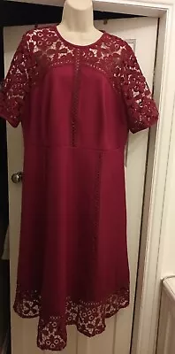 £8 • Buy Asos Maroon / Wine Special Occasion Dress Size 18 Crocheted Lace Trim 