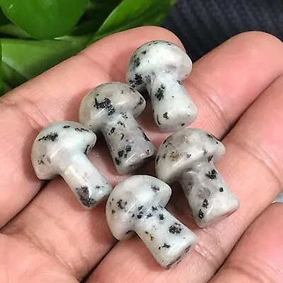 10pc Natural Tianshan Blue Mushroom Quartz Crystal Reiki Healing Gem Random • $5