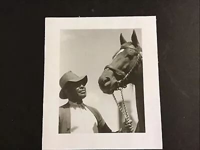 MAN O’ WAR   Photo Horse Racing CHAMPION • $4.99