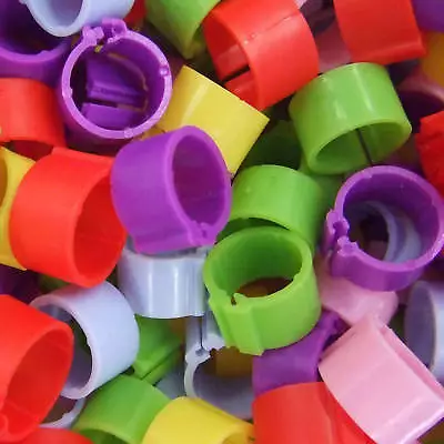 10 X 12mm Bantam Chicken Poultry Leg Rings Mix Colours • £1.49