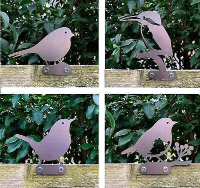 Kingfisher Robin Blackbird Bird Steel Garden Fence Topper Ornament • £5