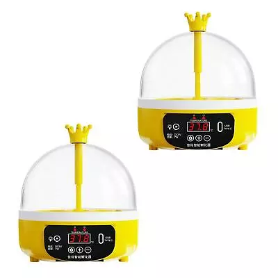 Egg Incubator Chicken Hatchery Small Portable USB Transparent Top Cover Poultry • £21.36