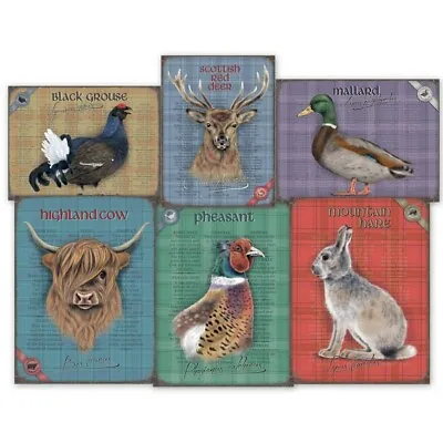 £11.99 • Buy Pheasant Hare Grouse Duck Red Deer Highland Cow Metal Sign 30cm X 40cm