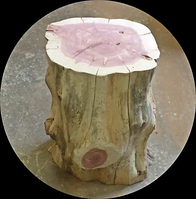 Red Cedar Stump Side End Table Lodge 22  X 14  By 12  Wood Accent Garden House • $150