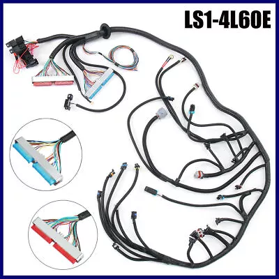 LS1-4L60E Wiring Harness Stand Alone For LS SWAPS DBC 4.8 5.3 6.0 97-06 98 99 00 • $89.99