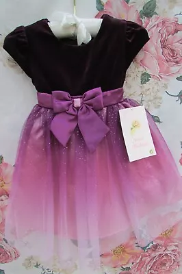 BNWT Velvet Plum Ombre Tulle Party Occasion Dress 18-24 By JONA MICHELLE USA • £14.99