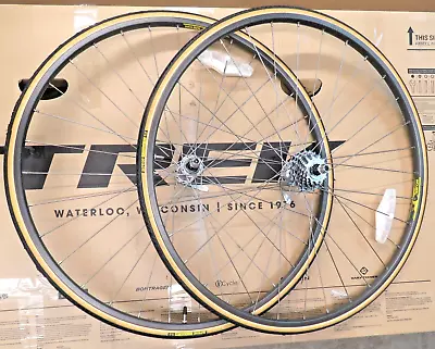 Vintage Wheelset Wolber GTX 700c Hard Anodized Rime & Shimano RX100 Hubs & 7 Spd • $140