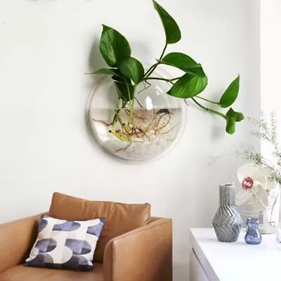 1pc Wall Mounted Hanging Fish Bowl Aquarium Tank Goldfish Plant Home Art Decor • $27.21