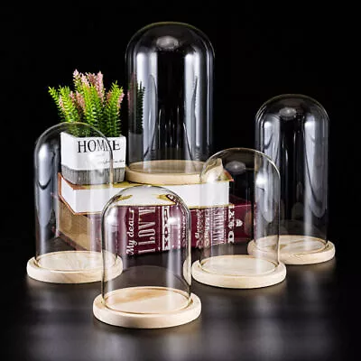 Glass Dome Display Bell Jar Sphere Cylinder Wood Base For Figure Flower Filling • $9.67