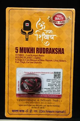 5- Faced Certified Rudraksha Bead • $15