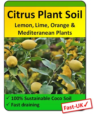 Citrus Tree Potting Soil Lemon Bougainvillea Orange & Lime Potting Compost • £9.99