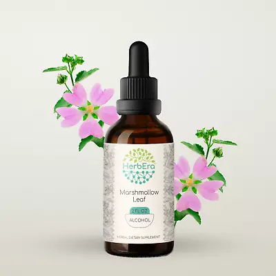 HerbEra Marshmallow Leaf Herbal Extract Tincture Organic (Althaea Officinalis) • $62.99
