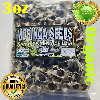 Semillas De Moringa Moringa Seeds Moringa Oleifera Seeds Organic Moringa Seed • $10.99