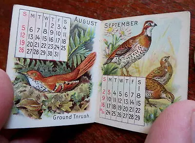Colgate Perfumers Pocket Calendar 1900 Bird Illustrations Miniature Promo Book • $60