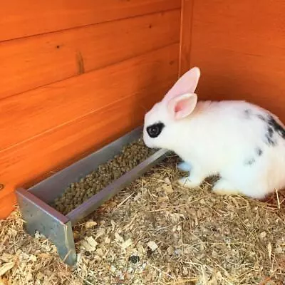 Rabbit Feeder Rabbit Hutch Rabbit Toys Accessories Small Animal Feeding Bowl Pet • £19.95