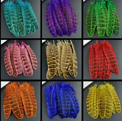 BULK 50pcs Natural Dyed Pheasant 12-15cm Feathers 9 Colours DIY Craft Millinery • $11.95