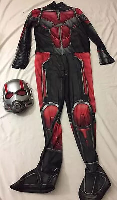 Marvel Avengers Ant-Man Wasp Movie Ant-Man Deluxe Boy's Costume Large Rubie’s • $49.99