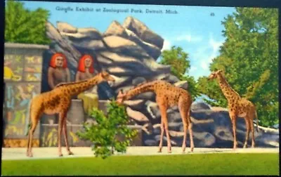 $1 • Buy Giraffe Exhibit, African Temple At Zoological Park, Detroit Zoo, Detroit, MI