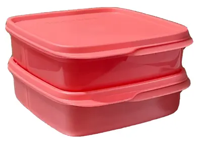 NEW Tupperware LUNCH-IT Divided Containers WATERMELON Set Of 2 BENTO BOX • $22