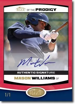 MASON WILLIAMS 2012 Rize Autograph Rookie RED BLANK BACK Auto PRODIGY RC 1/1 • $54.99