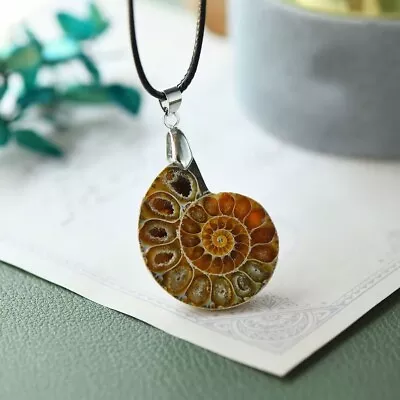 Real Ammonite Fossil Shell Handmade Pendant Adjustable Necklace Gifts For Women • $12.60