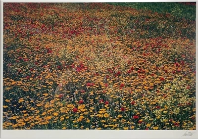 $1499.99 • Buy ERNST HAAS Sicily, 1965