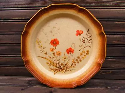 Jardiniere By Mikasa Dinner Plate Whole Wheat Line Peach Flowers L332 • $9.09