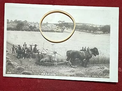 Edwardian Postcard Showing Farming “ Reaping “  • £5
