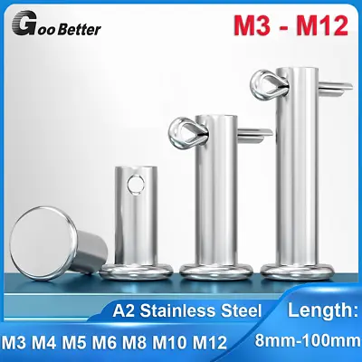 M3-M12 Clevis Pins With Cotter Split Pins Fasteners Securing A2 Stainless Steel • $3.05