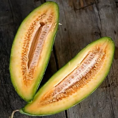 Banana Melon Cantaloupe Seeds 50+ Muskmelon Fruit Heirloom USA FREE SHIPPING • $2.45