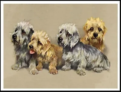 £4.99 • Buy Dandie Dinmont Terrier Dogs Group Lovely Vintage Style Dog Art Print Poster