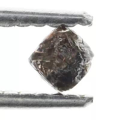 Octahedron Natural Loose Dark Brown 0.35 Carat 4.46X4.41X3.28MM Rough Diamond • $27