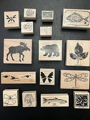 Lot Of 16 Rubber Wood Stamps Stampin Up Wild Animals Fish Bear Dragonfly  Moose • $11.99