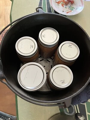 $150 • Buy  Rare Restored Cast Iron Erie Pre-Griswold #8 Eccentric 817X Deep Stove Top Pot