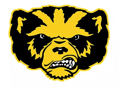 University Of Michigan Vinyl Sticker/Decal  - College Football - The  Wolverines • $26.99