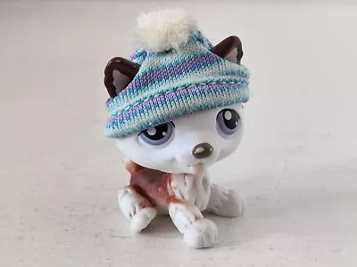 LPS Littlest Pet Shop Brown White Husky With Hat #427 Hasbro 2007 Free Shipping • £12.99