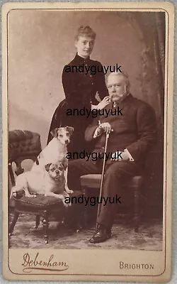 Cdv Pug Dog Debenham Brighton Jack Russell Terrier Named Mr Lee Antique Photo • £56.95