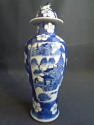 19th.c. Chinese B & W Prunus Blossom Baluster Vase & Cover. Kangxi Mark. • £94